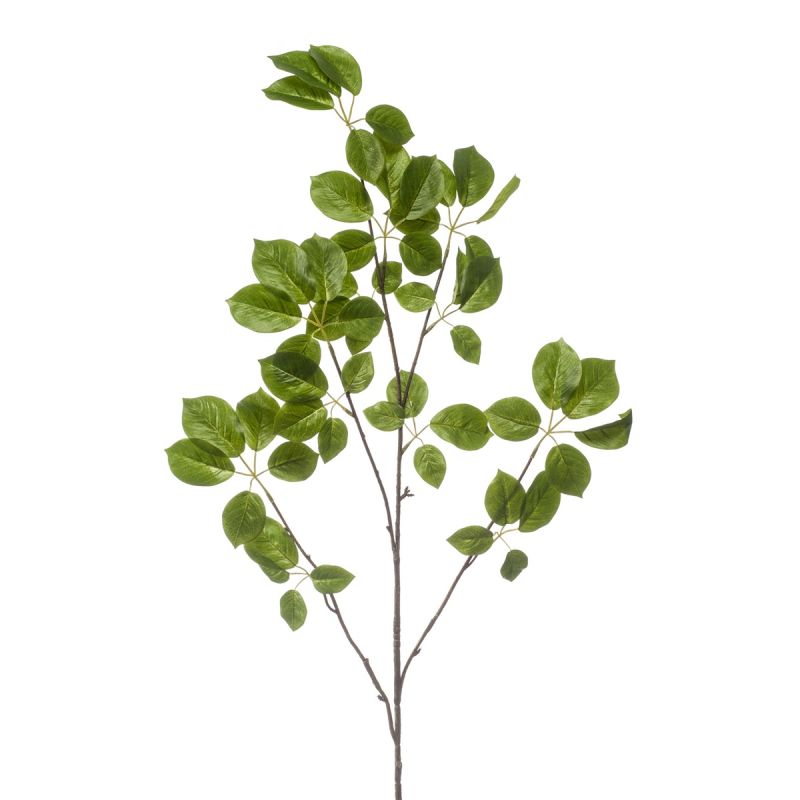 Baby schefflera spray green 120cm