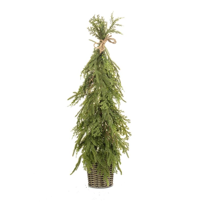 Cedar mix tree in pot 90cm