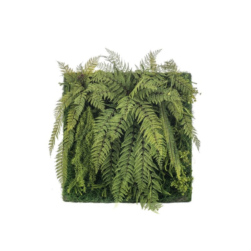 Fern mix living wall 100x100cm