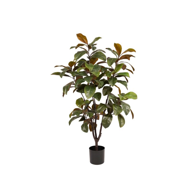 Magnolia tree 160cm (knock down packing)
