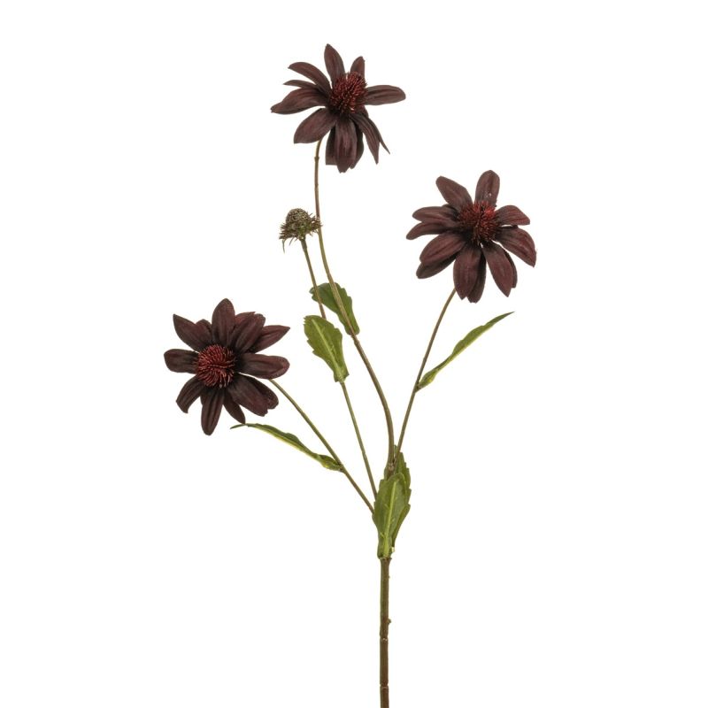 Rudbeckia spray burgundy 70cm