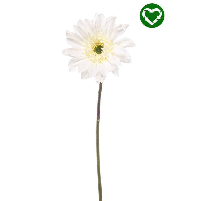 Gerbera spray REC white 63cm