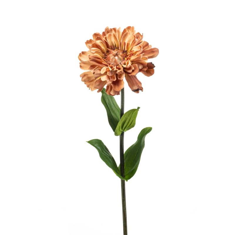 Zinnia spray peach 55cm