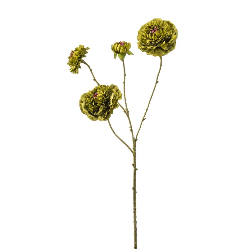 Zinnia spray x4 green 70cm