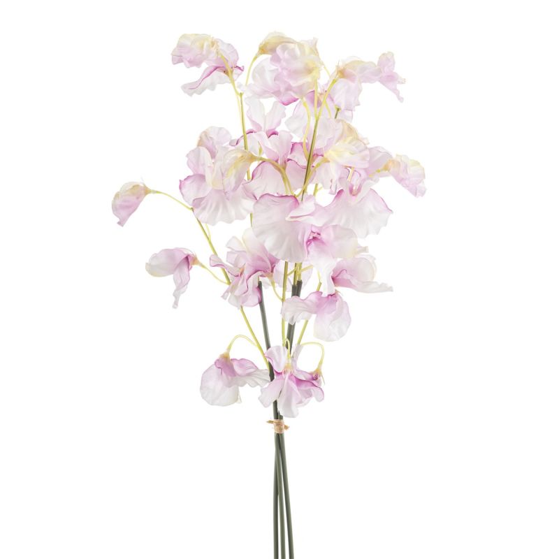 Lathyrus bundle x3 lt pink 48cm