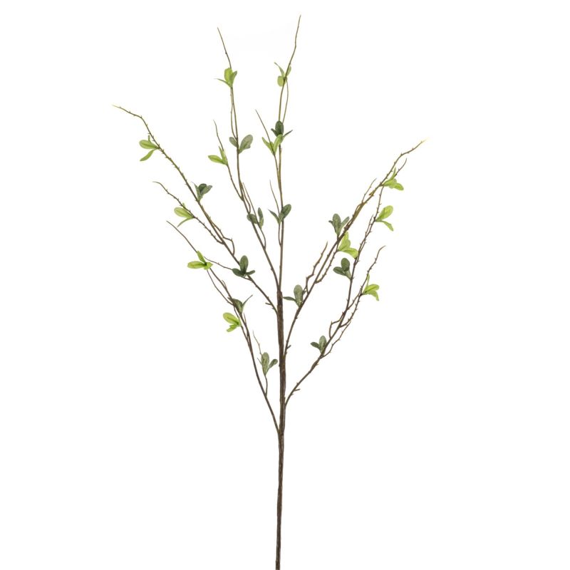 Salix spray green 90cm