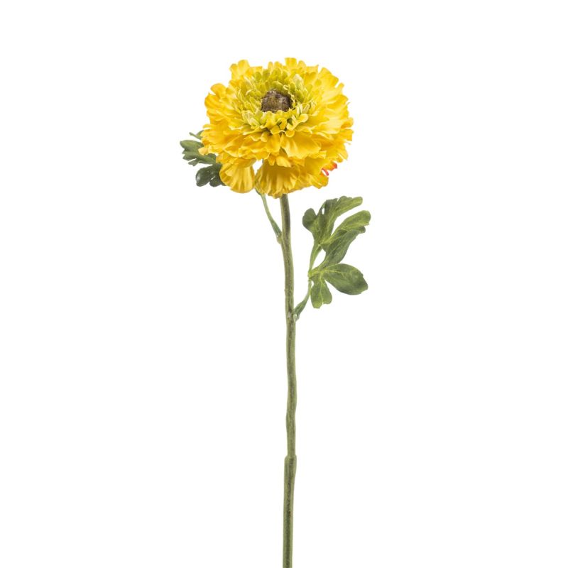 Ranunculus spray yellow 60cm