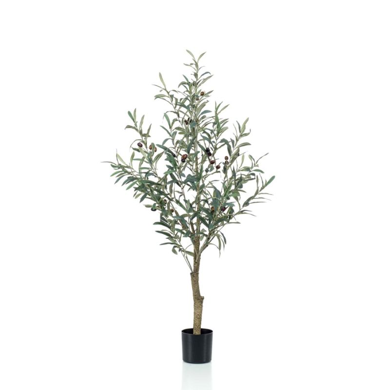 Olive tree 115cm