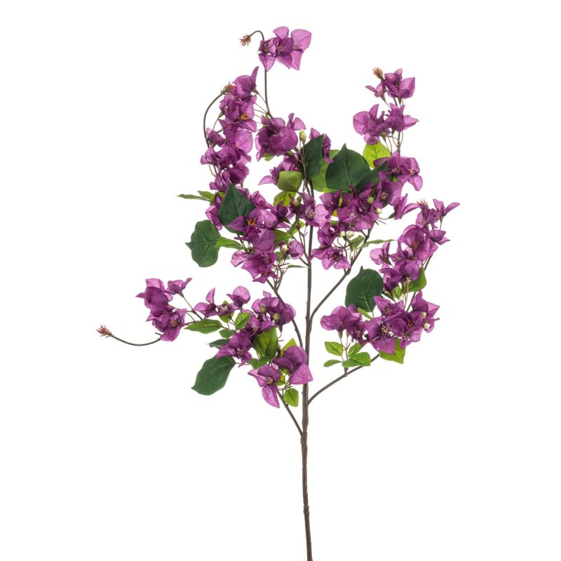 Bougainvillea spray purple 100cm