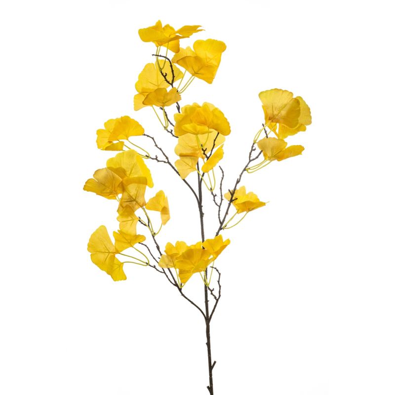 Ginkgo spray yellow 110cm