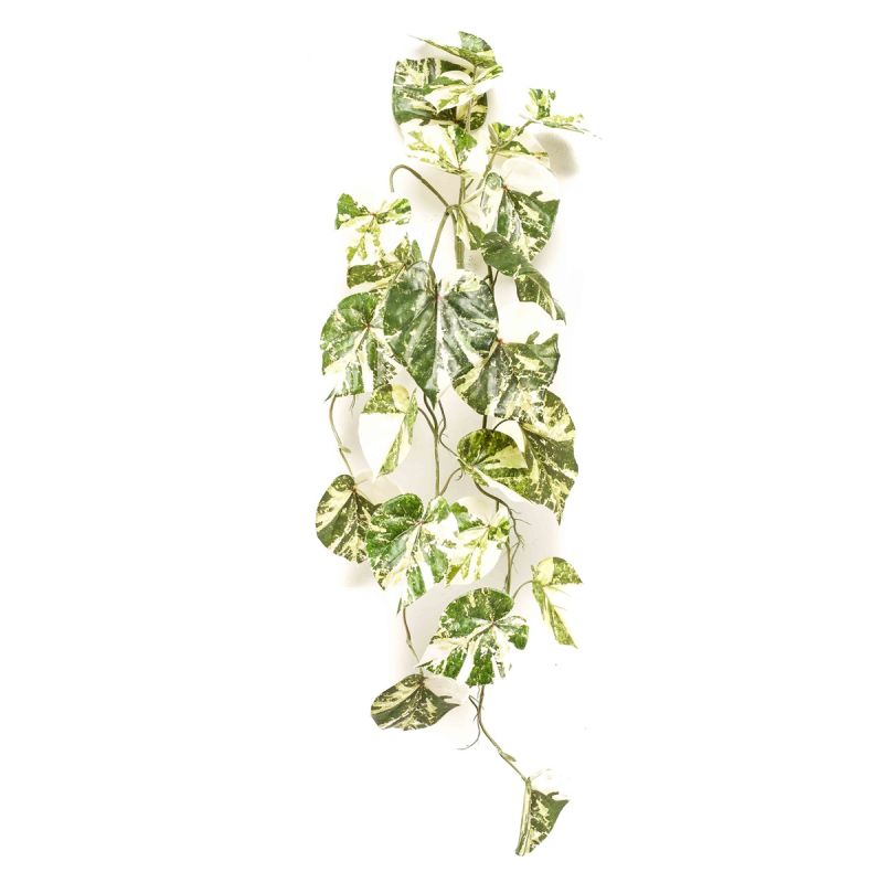 Scindapsus hanging bush green/white 90cm