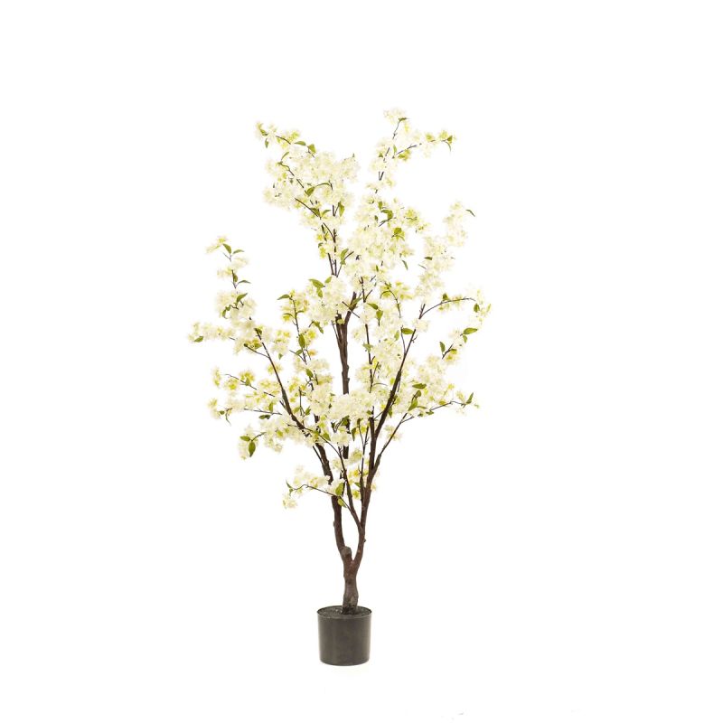Blossom cherry tree white 175cm