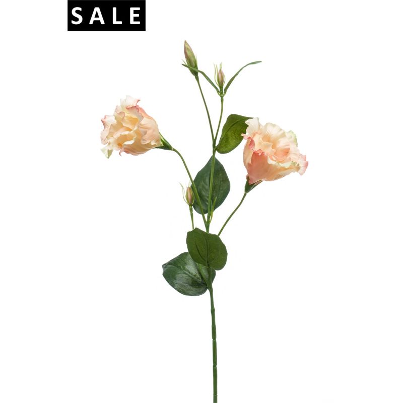 Eustoma spray peach 60cm