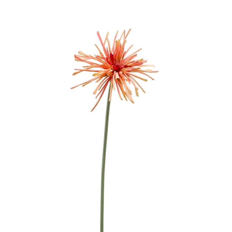 Gerbera spider RT lt orange 60cm
