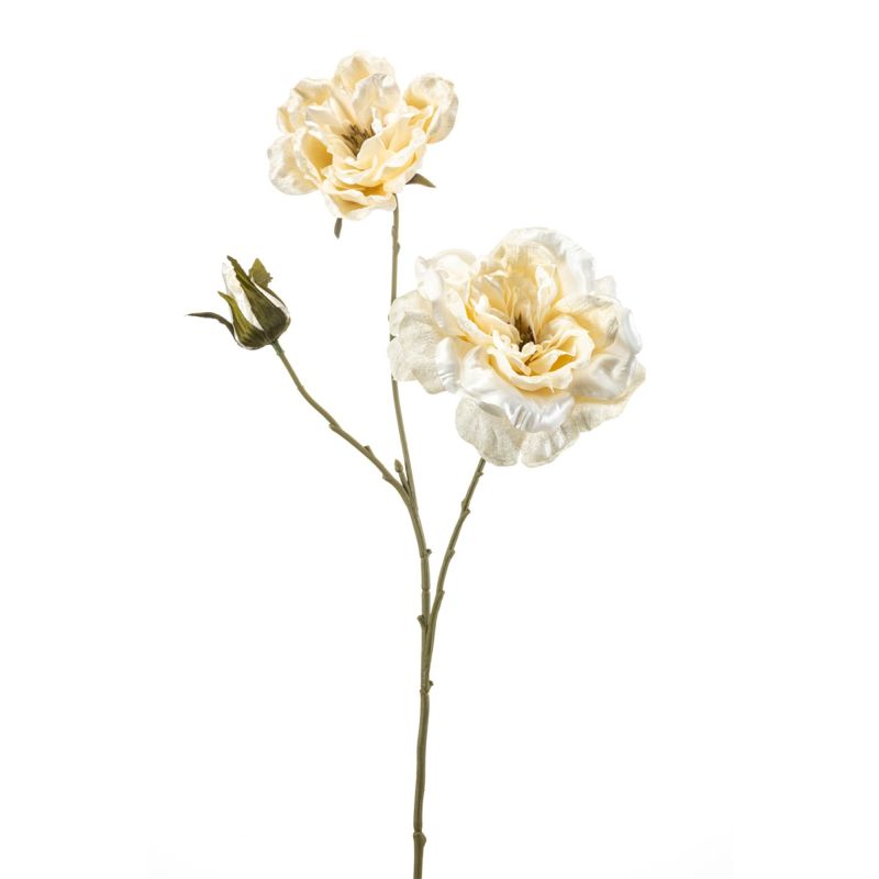 Rose spray cream 70cm