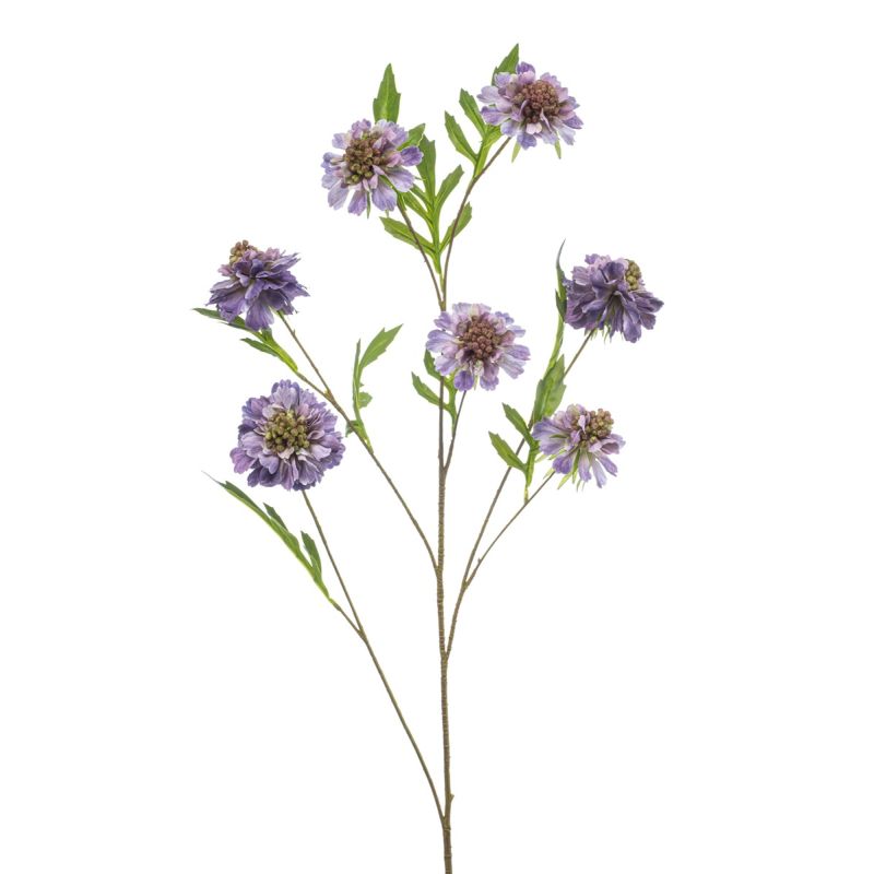 Scabiosa spray purple 113cm