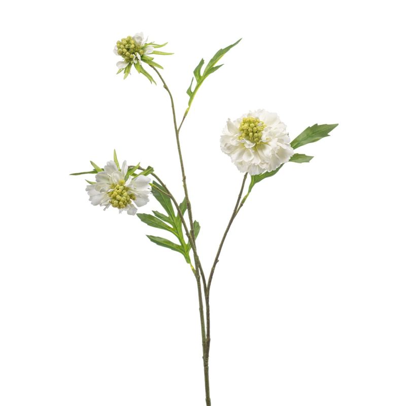 Scabiosa spray x3 white 62cm