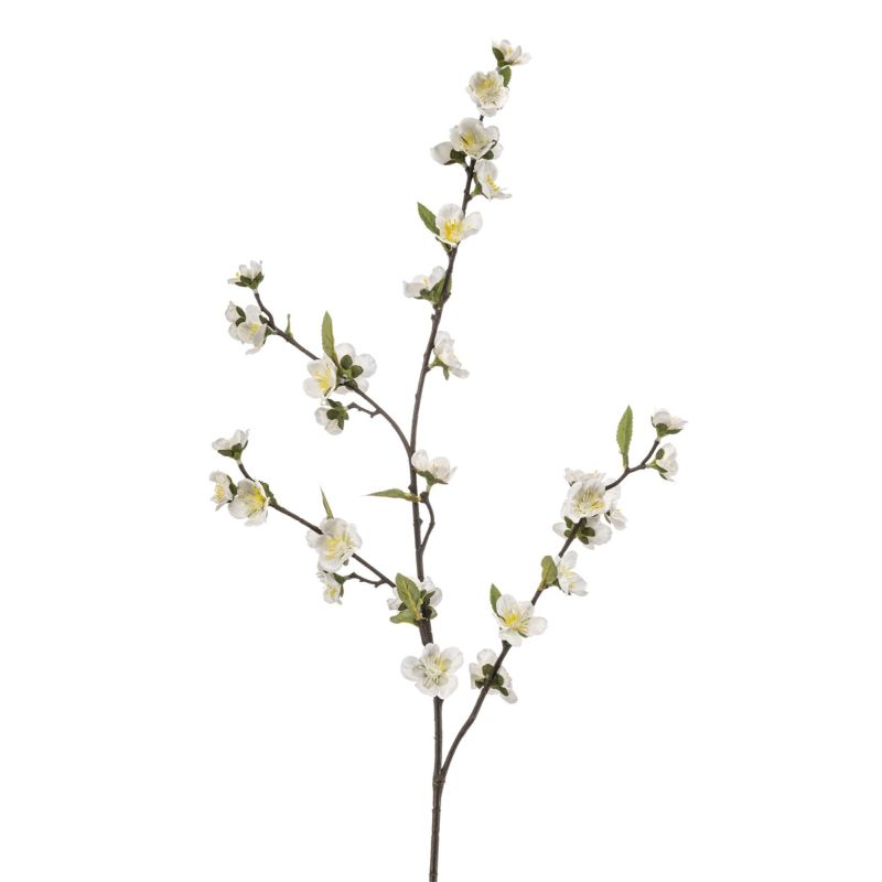 Chaenomeles spray white 108cm