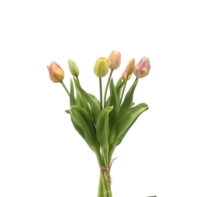 Tulip bundle x7 peach 40cm