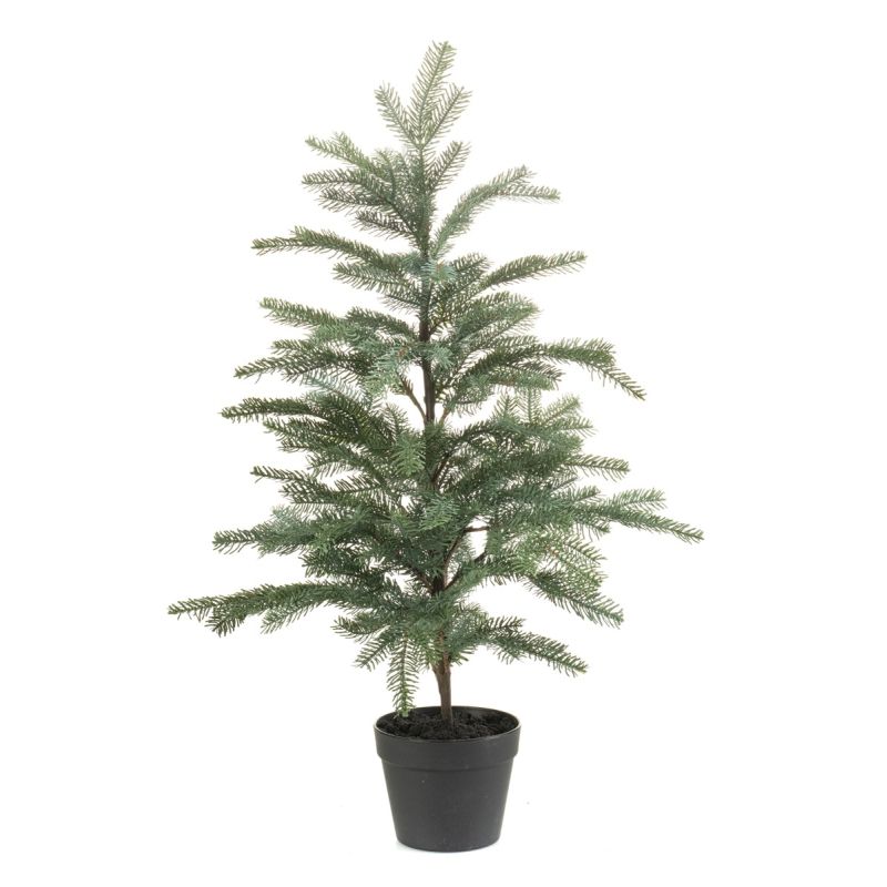 Picea tree in pot 90cm