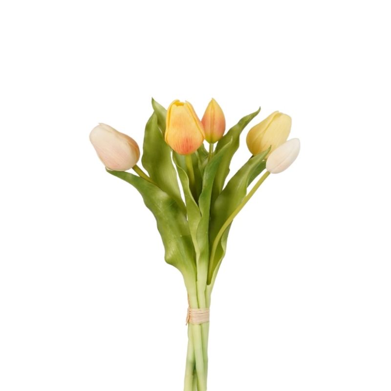 Tulip bundle x5 lt yellow 30cm