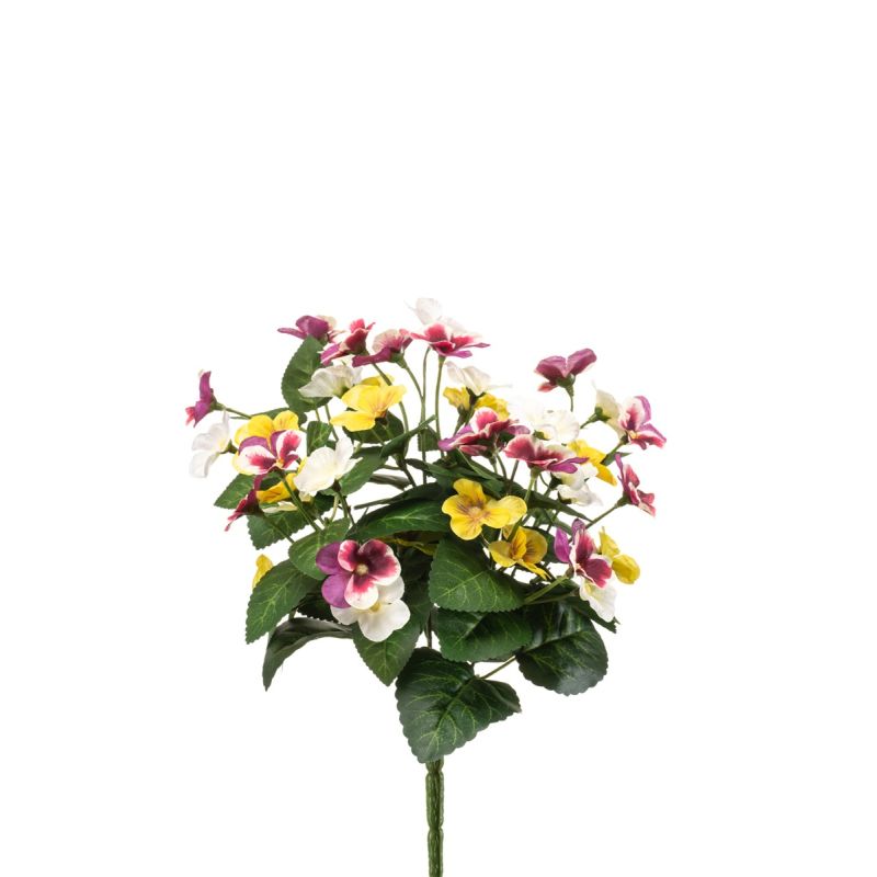 Pansy bush white/purple/yellow 30cm