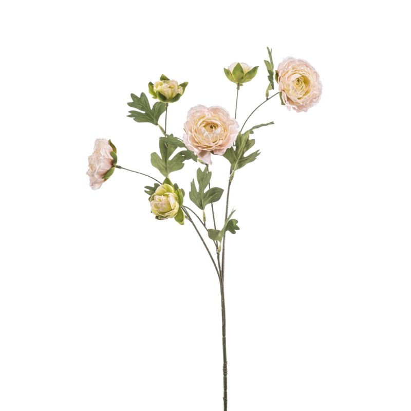 Ranunculus spray lt pink 78cm