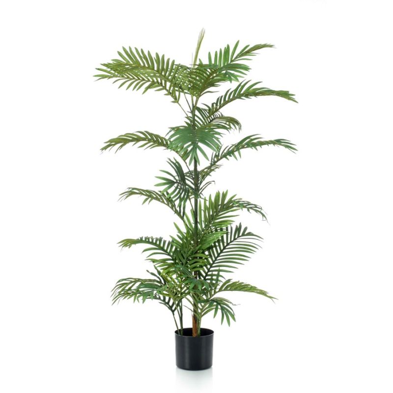 Palm phoenix 120cm