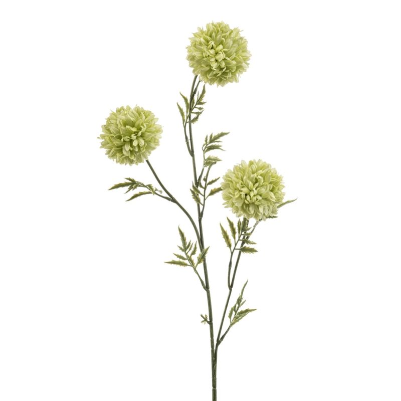 Tagetes spray green 80cm