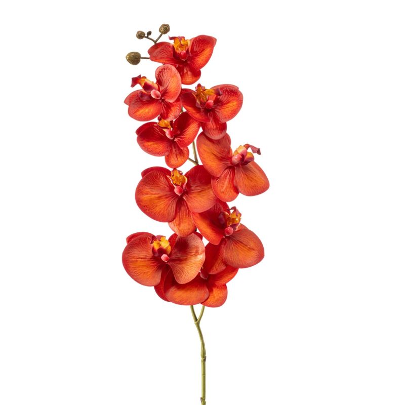 Phalaenopsis spray RT orange/red 95cm