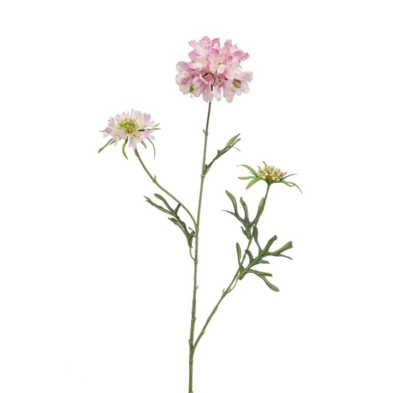 Scabiosa spray pink 77cm