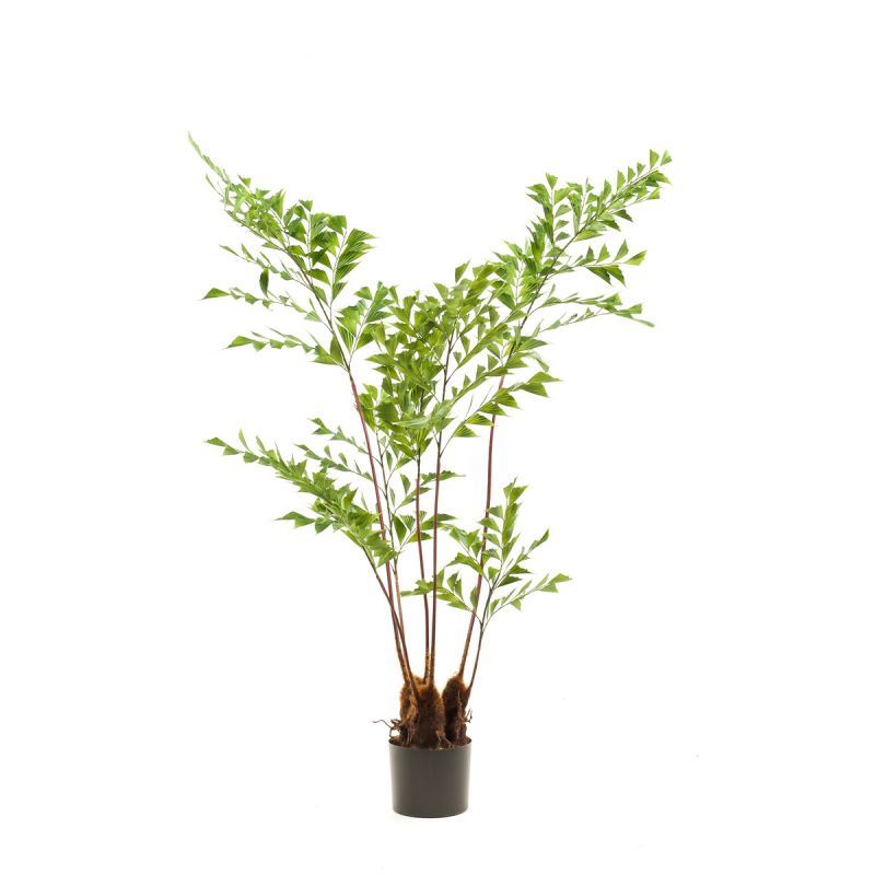 Palm fishtail x7 140cm