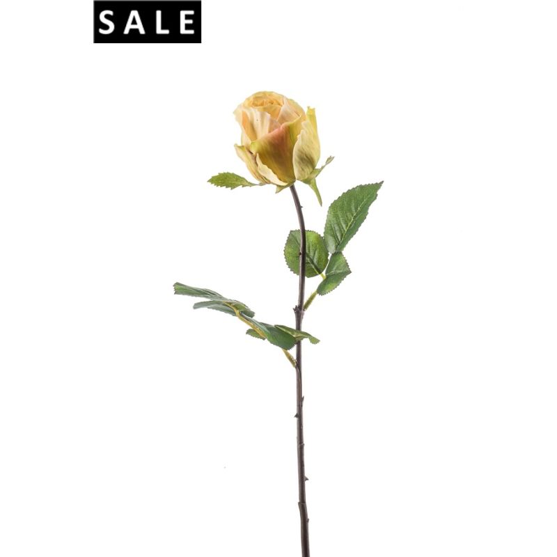 Rose femke spray yellow 57cm