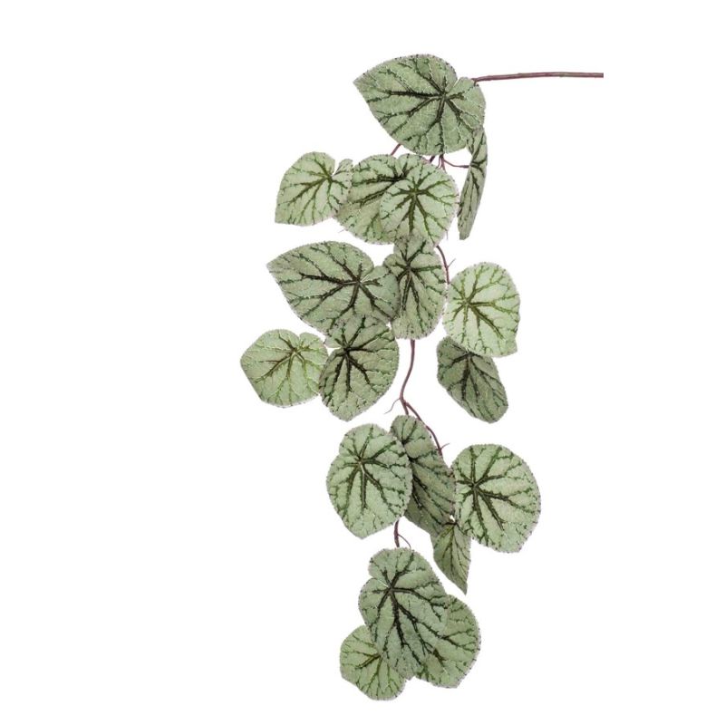 Begonia hanging spray grey 110cm