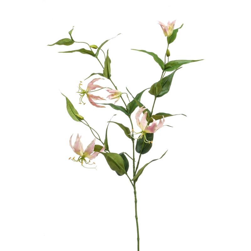 Gloriosa spray lt pink 120cm