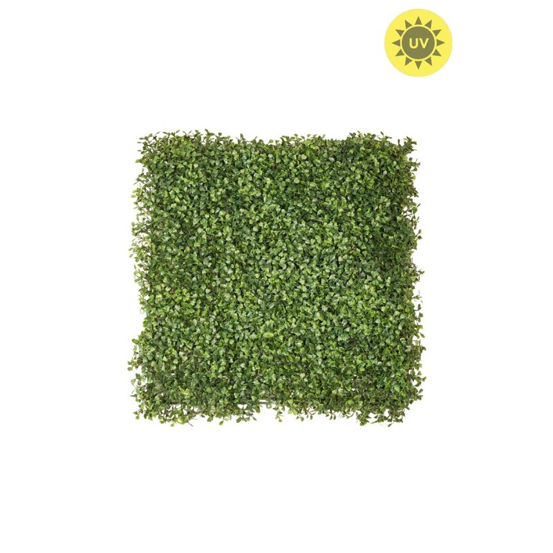 Boxwood mat weather resistant/UV tt green 50x50cm