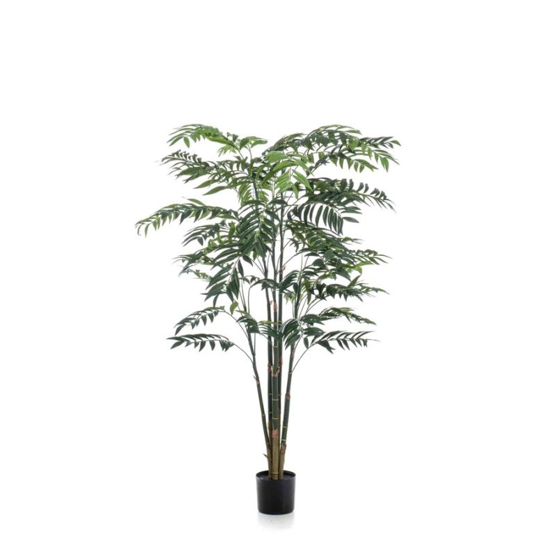 Palm bamboo 195cm (knock down packing)