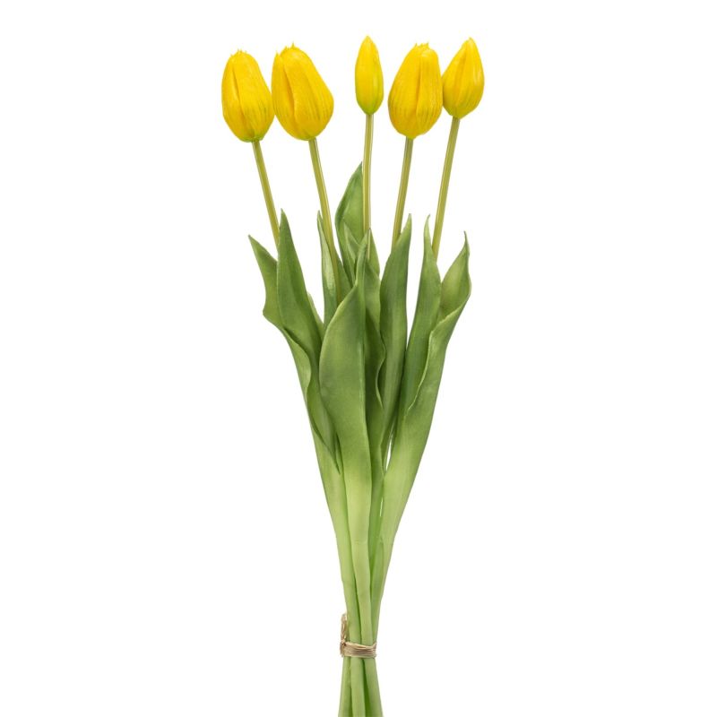 Tulip bundle x5 yellow 43cm