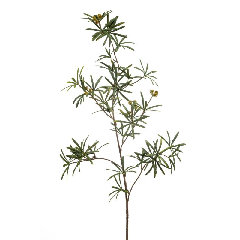 Podocarpus spray green 110cm