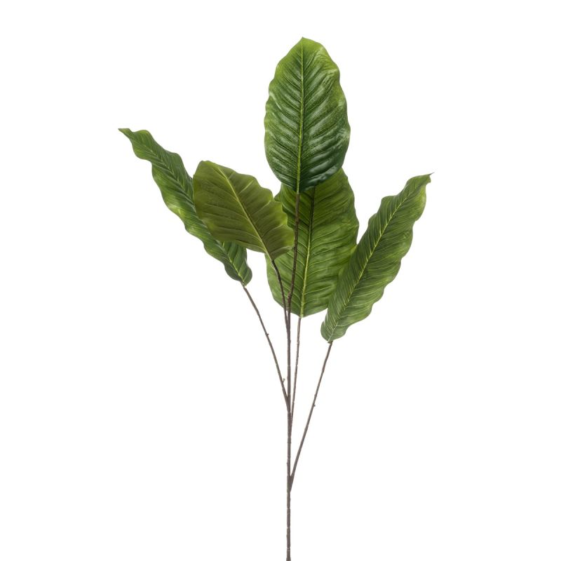 Dieffenbachia spray green 110cm