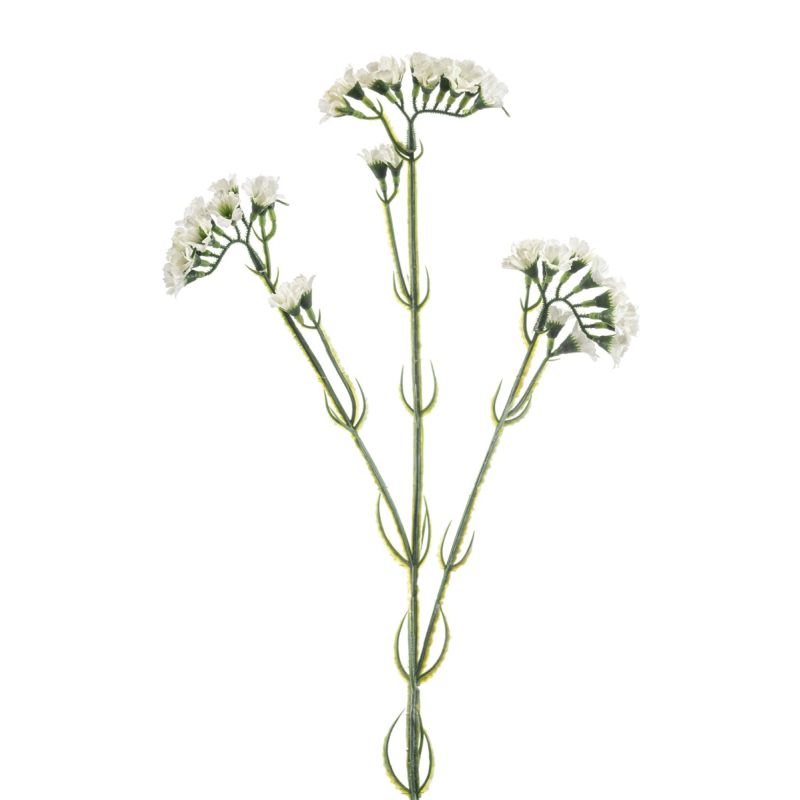 Statice spray white 62cm
