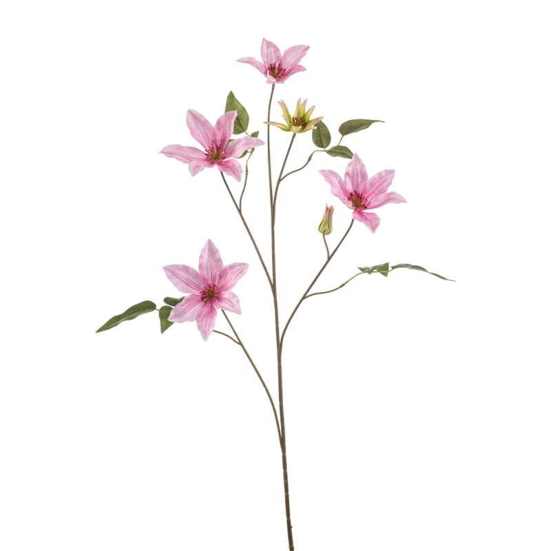 Clematis spray pink 102cm