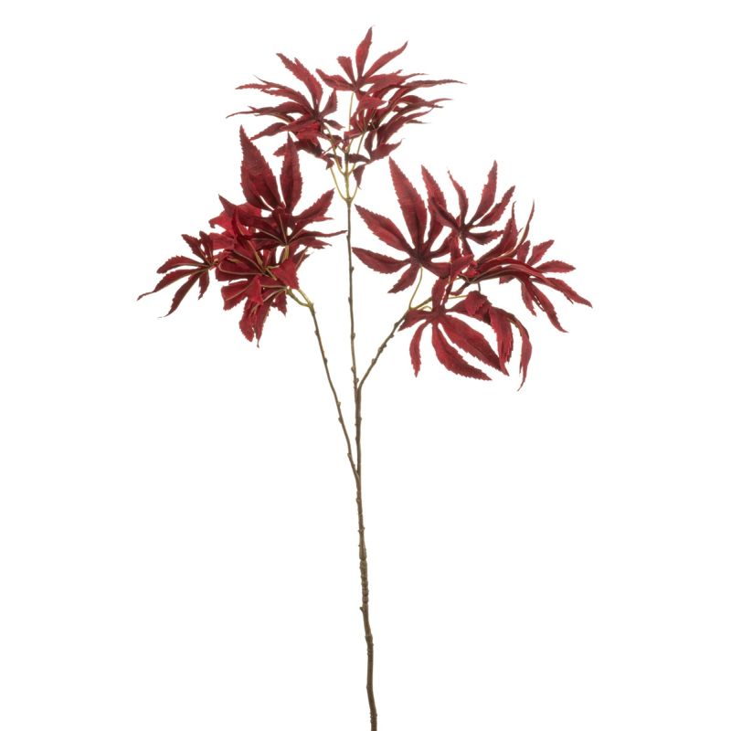 Acer japonese spray red 70cm