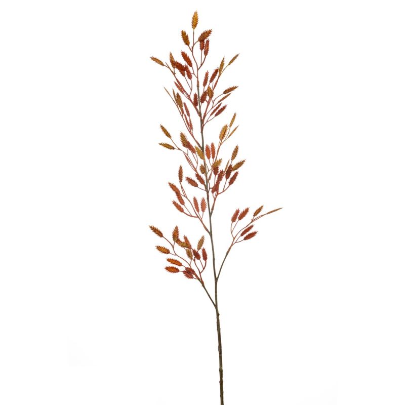 Briza spray orange 100cm