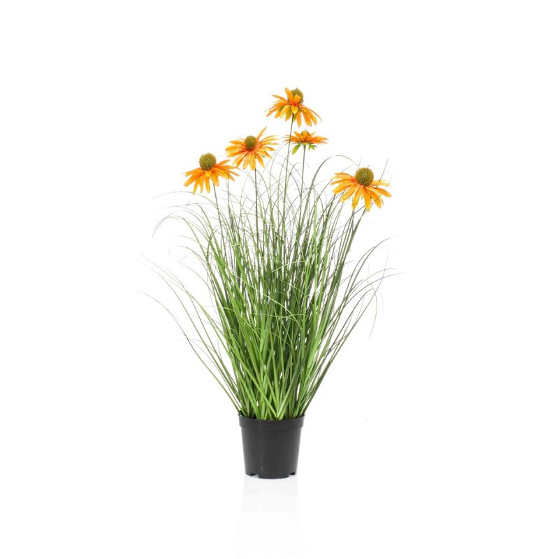 Rudbeckia grass orange in pot 60cm