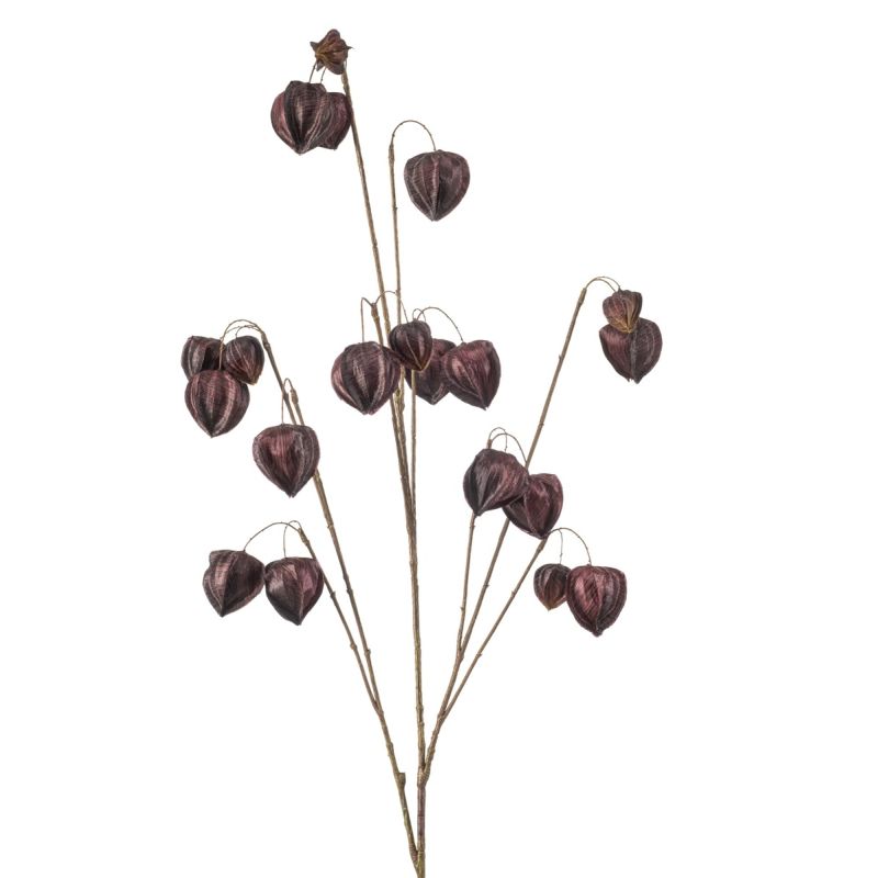Physalis spray x10 purple 110cm