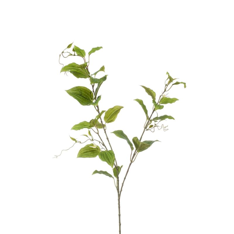 Clematis lvs spray green 105cm