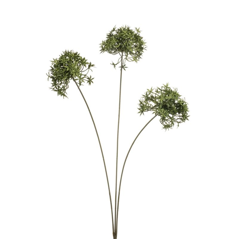 Allium spray green 62cm