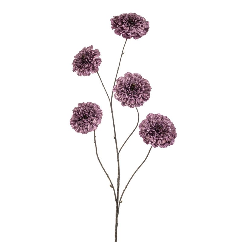 Zinnia spray x5 purple 110cm