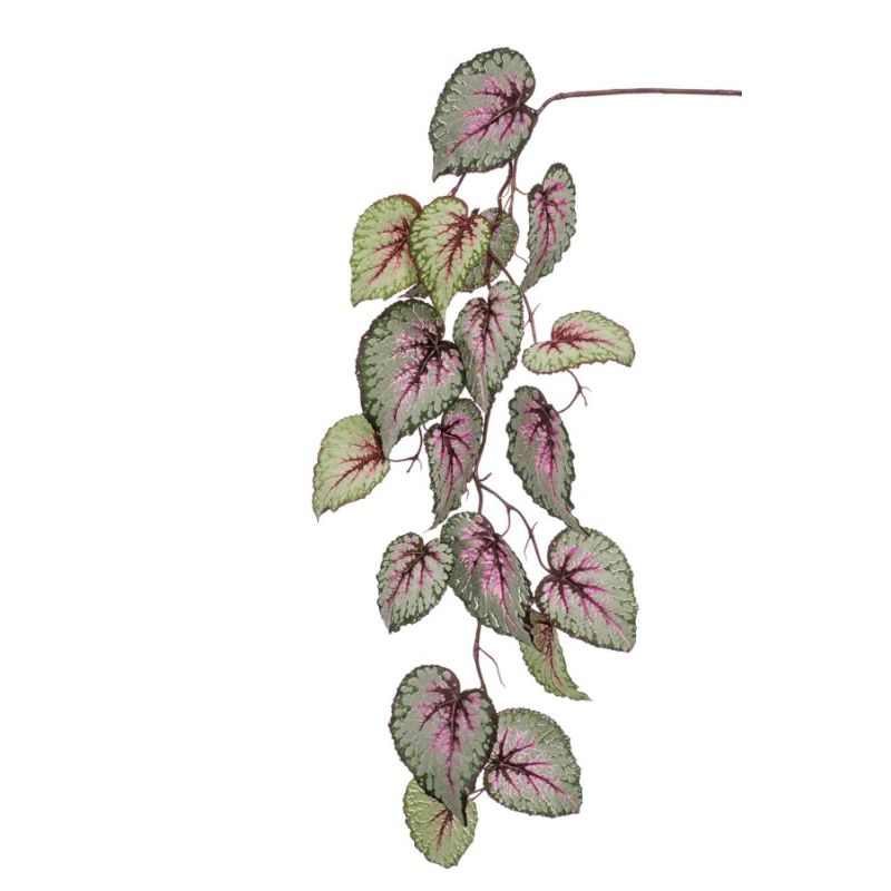 Begonia hanging spray grey/pink 110cm